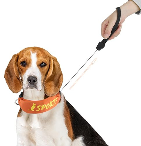 Enjoying Einziehbares Hundehalsband, All-in-One-Hundehalsband, integrierte einziehbare Leine, verstellbares Halsband für kleine und mittelgroße Hunde, Orange