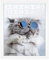 Bildershop-24 Puzzlerahmen RahmBig für Puzzle ca. 300-500 Teile 36x49cm 49x36cm Weiß mit Acrylglas