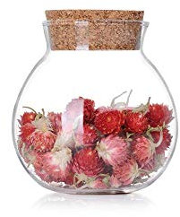 Danmu Art Round Glass Jars Glass Favor Jar Terrarium Food Storage Container with Cork Stoppers for Cookie Candy Spice Tea Cereal 500ML