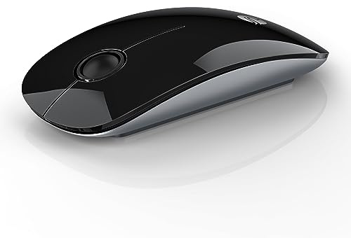 RAPIQUE Bluetooth Wireless Mouse, BT5.1/2.4G Dual Mode, Black
