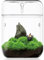 Pequeño terrario de plantas de cristal de 12 x 17,5 cm para suculentas, helecho, musgo de micropaisaje, jarrón para la decoración de jardines domésticos, oficina, recipiente con tapa, regalo de