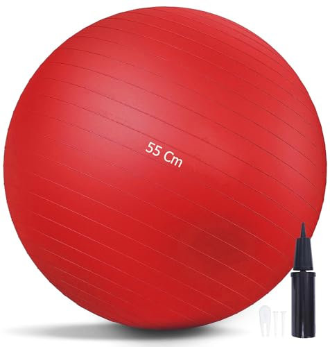 G5 HT SPORT Palla Fitness Gym Balls Premium Multifunzione Palla Pilates Anti-Scoppio [55/65/75/75 CM] Inclusa Pompa, Pilates, Esercizi, Ginnastica e Yoga (Ø 55 cm (Per Altezza Max 167 Cm))