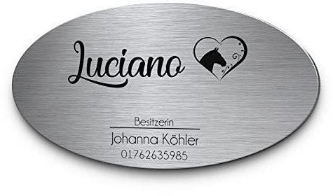 Pferdeschild mit Gravur aus Edelstahl | Namensschild Boxenschild Premium Stallschild mit Bohrlöcher oder selbstklebend 15x8 cm oval mit Brandzeichen und Motiven Ideal für den Stall Pferdebox… (D13)