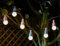 Garden Mile Solar Pastell Lichterkette - 4.7M Warmweiß LED Lichterkette mit 10 Glühbirnen - Wasserdichte Dekorative Solarleuchten für Garten, Zaun, Balkon, Terrasse, Partys, Hochzeiten