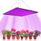 Beenle-Icey 1000 W Lampada Led orticola Crescita Fioritura, Grow Light per Coltura Indoor Pianta Lampada di Pianta Crescita Idroponica Illuminazione Germinazione con Gancio (B)