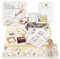 Lychii Scrapbook Zubehör Set, 323 Stück Bullet Journal Sticker Set mit A6 Notizbuch, Washi Tape, Sticker, Scrapbook Papier, für Kinder DIY, Geburtstagsgeschenk, Kindertag Geschenk (Eleganzthema)