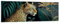Panorama Bilder auf Glas 160x50cm Glasbild Leopard Dschungel Tropisch Groß XXL Wanddeko Bild im Glas Schlafzimmer Küche Wandbilder Dekoration Wohnzimmer Modern Wand Kunstdruck Art GAB160x50-5720