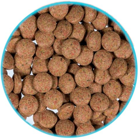 500 ml - 1,4 L (350 g - 1 KG) Bodentabletten FD Futtertabletten Welsfutter Garnelenfutter Fischfutter für bodenfressende Fische und Garnelen (1 Liter / 700 g)