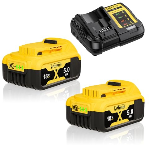 2x 5.0Ah Batteries and 4A Charger Replacement for Dewalt 18V Battery DCB184 | DCB200 DCB180 DCB182 DCB101 DCB107 DCB112 DCB105 DCB115 DCB203 Applicable to Cordless Power Tools Battery with LED Indicator