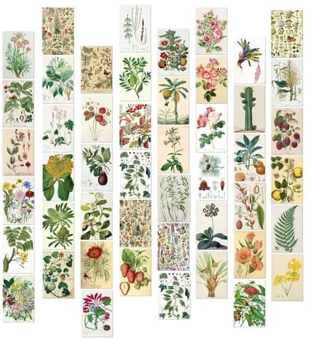 PORUPAEL 50 Stück Vintage Botanische Postkarten Set Blumen Poster Karten Wanddekoration Schlafzimmer Karten Dekoration Aesthetic Mini Poster (I)