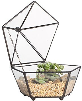 NCYP Kleine Pentagon Form Glas Geometrische Sukkulente Terrarium Fensterbank Pflanze Übertopf Blumentopf mit Swing Deckel, Einrichtung Mittelpunkt für Hochzeit Kaffee Tisch (ohne Pflanzen)