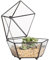 NCYP Kleine Pentagon Form Glas Geometrische Sukkulente Terrarium Fensterbank Pflanze Übertopf Blumentopf mit Swing Deckel, Einrichtung Mittelpunkt für Hochzeit Kaffee Tisch (ohne Pflanzen)