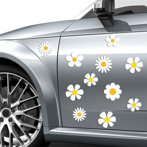 Flower Magnets for Fridge, 24 Pcs Cartoon Car Daisy Magnet Decorations Cute Magnetic Flower Decals, Removable Flower Magnetic Stickers for Refrigerator, Car, Whiteboard, Office Cabinets Decor (CT060)
