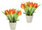 Künstliche Tulpen 2er Set im Keramiktopf Gesteck Arrangement Kunstblumen Künstliche Deko Blumen Blätter Unechte Frühjahrsdekoration Osterdeko Tischdeko Pflanze Frühjahr Ostern Floristik Textil