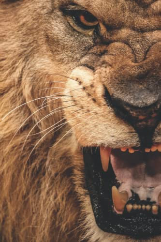 Lion Notebook: College Ruled