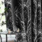 Fmfunctex Black Silver Blackout Curtains for Living Room 90 inch Drop Eyelet Curtains for Bedroom Tree Branch Foil Thermal Insulated Window Curtain Panels 2 Panels