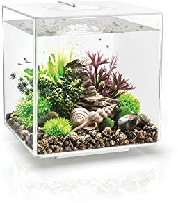 BiOrb Cube 30 MCR weiß