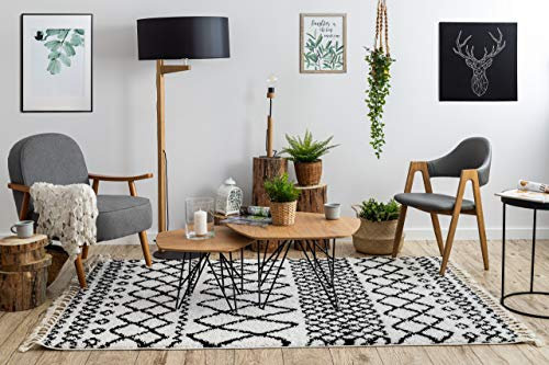 rugsx Teppich hochflor Berber Shaggy, Franse, marokkanischer Stil, für Zimmer, Wohnzimmer, Schlafzimmer, SAFI Weiß/Schwarz 180x270 cm