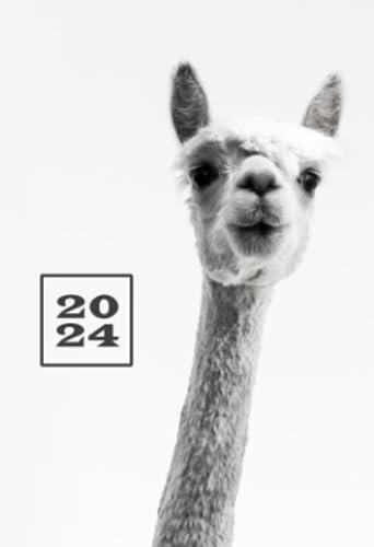 2024: A6 Kalender Mini Planer | 1 Woche auf 2 Seiten | Jan - Dez Wochenplaner | Terminkalender Alpaka | Kalenderbuch Organizer | Wochenkalender Terminplaner | Buchkalender Jahresplaner