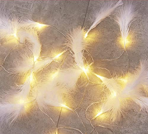 Federn Lichterketten,LED Lichterkette Batterie Lichterkette für Party Garten Weihnachten Halloween Hochzeit Beleuchtung Deko (Weiß,2 Meter 10 Lichter)