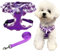 SuperBuddy Verbessertes super atmungsaktives Hundegeschirr, leicht, weiches Netz, Haustiergeschirre für Welpen, Hunde, violettes Hundegeschirr und Hundeleine, Set Verpackung – Größe XS