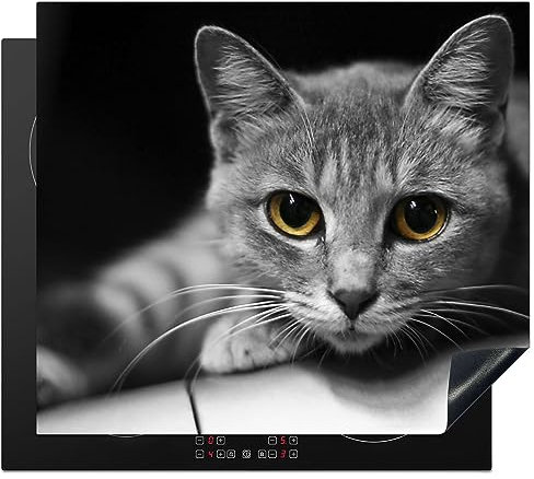 MuchoWow Protège-plaque à induction - Plaque Protection Vitrocéramique Induction - Vinyl - Chat - Animal - Macro - 58.3x51.3 cm - Couvre Plaque de Cuisson - Accessoires de Cuisine