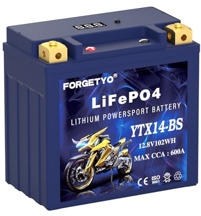 Forgetyo YTX14-BS ATV Battery，Motorcycle Battery 12.8V 7AH 600CCA,Compatible with Yamaha scooter snowmobile Jet Ski, Riding Mower, Scooter, PWC & More