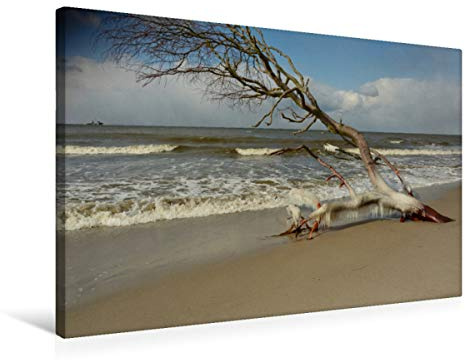 Premium Textil-Leinwand 75 x 50 cm Quer-Format Eiszapfen bilden sich an den Ästen | Wandbild, HD-Bild auf Keilrahmen, Fertigbild auf hochwertigem Vlies, Leinwanddruck von Renate Grobelnx