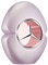 Mercedes-Benz Woman, EdT
