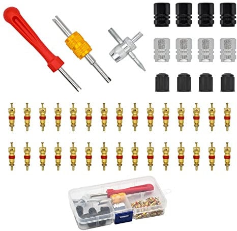 Skyzone Car Bike Tyre Valve Core Tool Set,45 PCS Tyre Valve Removal Tool Including 4 in 1 Tyre Valve Repair Tool Double and Single Head Valve Core And Valve Inserts for Car, Motorcycle, Bicycle