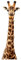 Bilderwelten Wandtattoo Giraffenkopf Wandtattoo Wandsticker Afrika Safari Giraffe Tiere, Größe HxB:70cm x 22cm