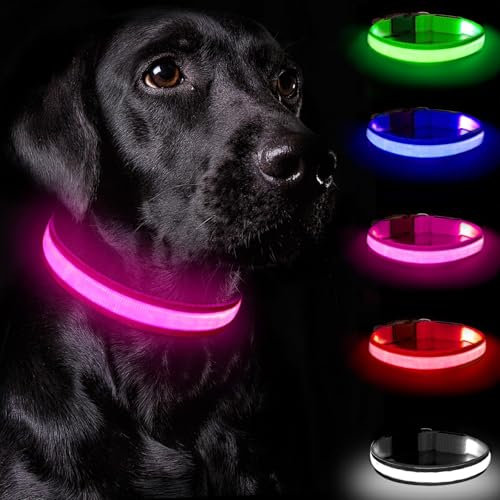 Nepfaivy Leuchthalsband Hund USB Aufladbar - Hundehalsband Leuchtend mit Verstellbarer Länge für Mittelgroße bis Große Hunde, LED Halsband Hund mit 3 Beleuchtungsmodi für Nacht Sicherheit, (Rosa-S)
