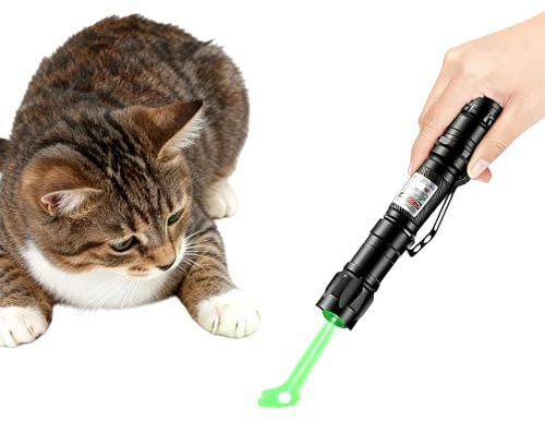 Generisch Grüner Lichtpointer manuell interaktiv Katzenhundespielzeug Starlight Projektor Langstreckenstrahl Präsentationshilfe Haustiertraining Verfolgungsspiel Soforteinsatz (A)
