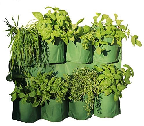 Haxnicks Maceta de jardín de Pared para Hierbas | Jardinera Vertical para un jardín de Pared de Hierbas Lliving | Uso Interior o Exterior | Jardín Urbano, balcón, terraza | Verde, 60 cm de Ancho x 48