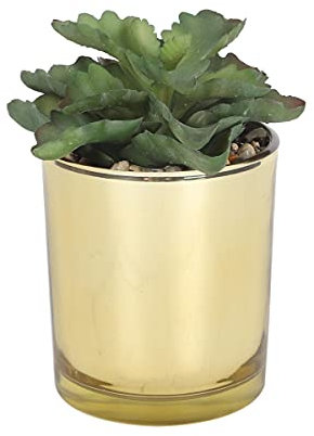 Sleepdown Halo Green Tall Artificial Faux Plant Succulent Gold Pot for Home Office Bathroom Decor Indoor Decoration Aesthetics, Small