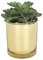 Sleepdown Halo Green Tall Artificial Faux Plant Succulent Gold Pot for Home Office Bathroom Decor Indoor Decoration Aesthetics, Small