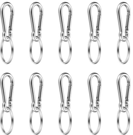 10 Stück φ6x60mm Karabinerhaken Clips & 10 Schlüsselanhänger, 304Edelstahl Karabinerhaken Karabiner Set,Karabiner belastbar bis 160kg,für Rucksack, Hundeleine, Camping, Reisen, Wandern