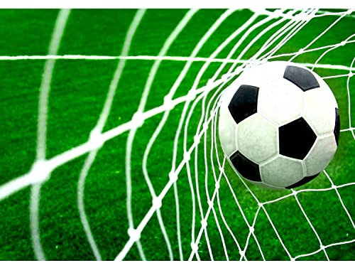 Runa Art Papier peint intissé Mural Le football Moderne Toison Salon Chambre à Coucherr Salle - Tableaux Muraux Tapisserie Photo - Vert blanc 9050010a