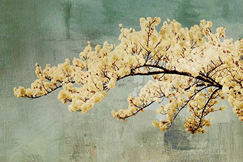 ART-PRINT-on-matt-paper-220gr- Snowfall PI Studio - Floral horizontal Image Snowfall Fine Art Print 25_X_38_in