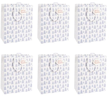 Clairefontaine X-29523-2Cpack 6 Geschenktaschen Excellia 26,5x14x33cm Natur