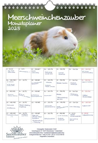 Meerschweinchenzauber Planer DIN A4 Kalender für 2025 Meerschweinchen - Seelenzauber