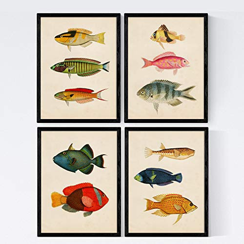 Nacnic Set 4 Blatt Fisch Jahrgang bunten Effekt. Molukken. Zusammensetzung von 11 verschiedenen Fischen im A4-Format, Jahrgang Hintergrund Altpapier Poster Papier 250 gr hohe Qualität. Marco