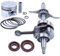 Adefol Kit di guarnizioni per Albero Motore con pistone Olio per Honda GX25 GX25NT HHT25S decespugliatore