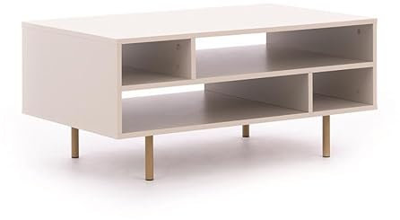 BETTSO - Couchtisch Kaschmir - Couchtisch mit Stauraum - 100cm breit, 45cm hoch - Beistelltisch, Kleiner Tisch für Wohnzimmer - mit hohen goldenen Beinen