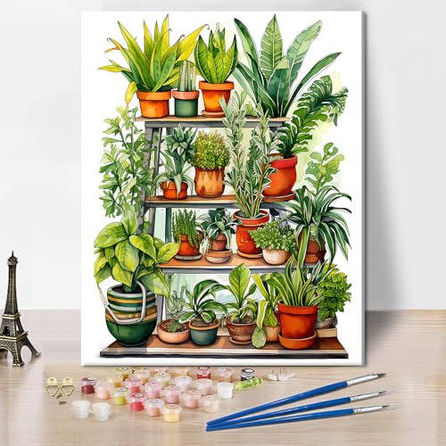 TISHIRON Paint by Numbers Adults, Household Plants in Pots on Shelves, Watercolours, Paint by Numbers, Plants Hand Painted Oil Painting, Without Frame (40 x 50 cm)