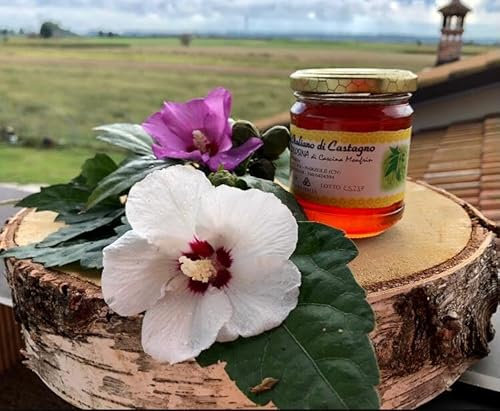 Miele Italiano di Castagno Montagne Cuneo Val Corsaglia Langhe Piemonte produttore diretto azienda agricola ape golosina 100g 250g 500g 1000g genuino ferro sali minerali difese (100 g)