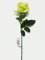 AFS Single Stem Velvet Touch Artificial Roses - Wedding Bouquet Vase Flowers (Lime Green)