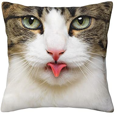 ASEELO Katzen-Kissen, 45,7 x 45,7 cm, für Wohnzimmer, Schlafzimmer, Sofa, Couch, Outdoor-Kissenbezüge