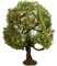 NOCH® Apfelbaum, handkolorierter Master-Baum, 8 cm hoch für die Spurweiten H0, TT, N, Z perfekt auch für Dioramen und Modelllandschaften