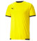 PUMA Unisex Kinder Teamliga Jersey Jr Shirt, Cyber Yellow-puma Black, 140 EU